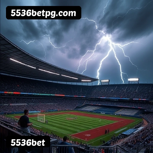5536bet Salvador - Promo Stats